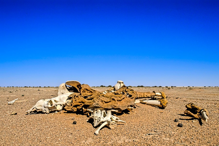 Daily Photo - Desert Shipwreck | Richard Davis Photography