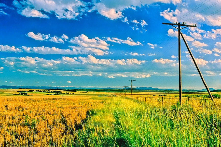 Daily Photo - Free State near Bethlehem | Richard Davis Photography