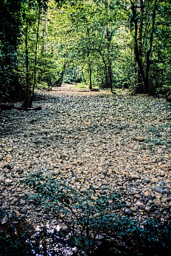 Daily Photo - Dry Riverbed - Richard Davis Photography